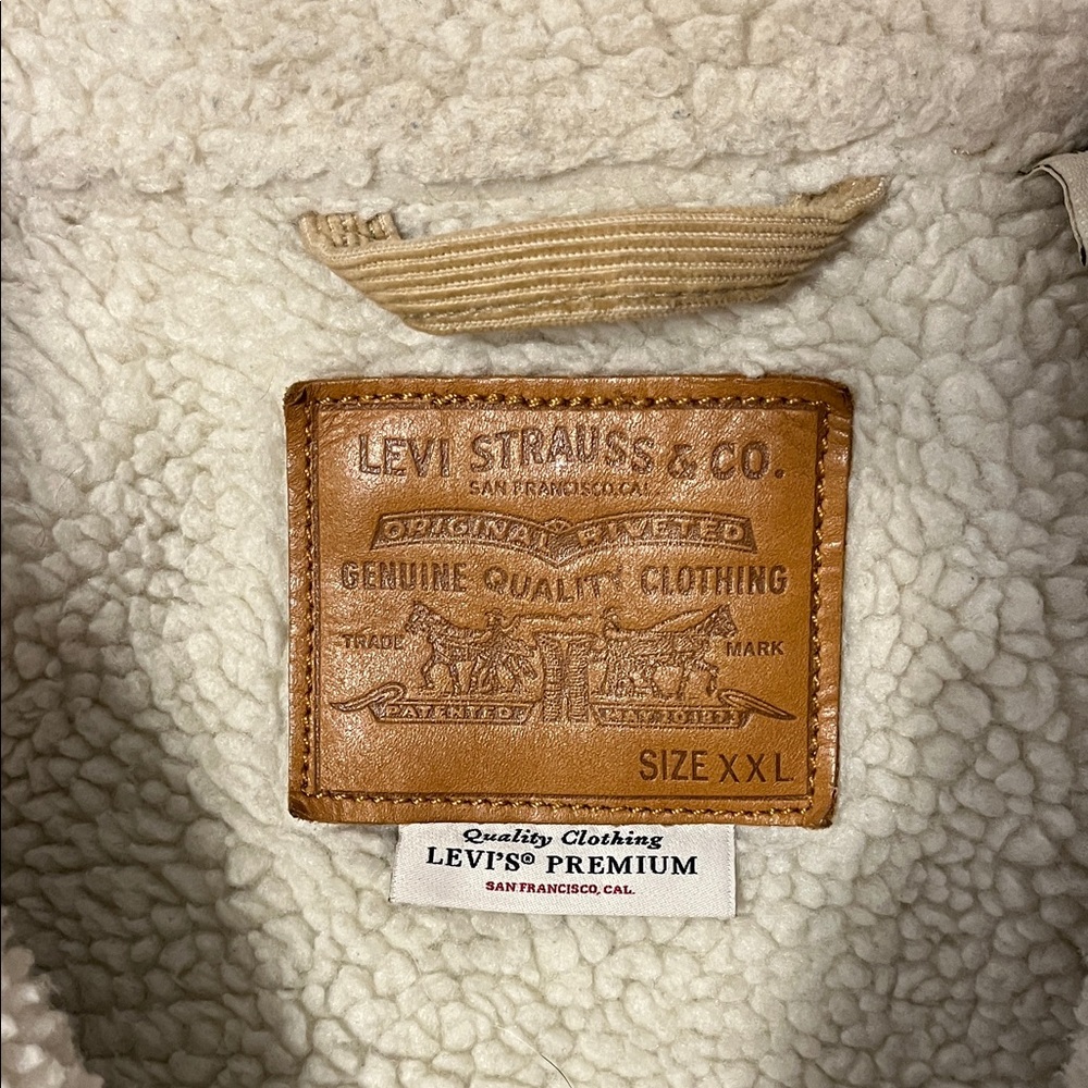 Sherpa Trucker Jacket - Levi